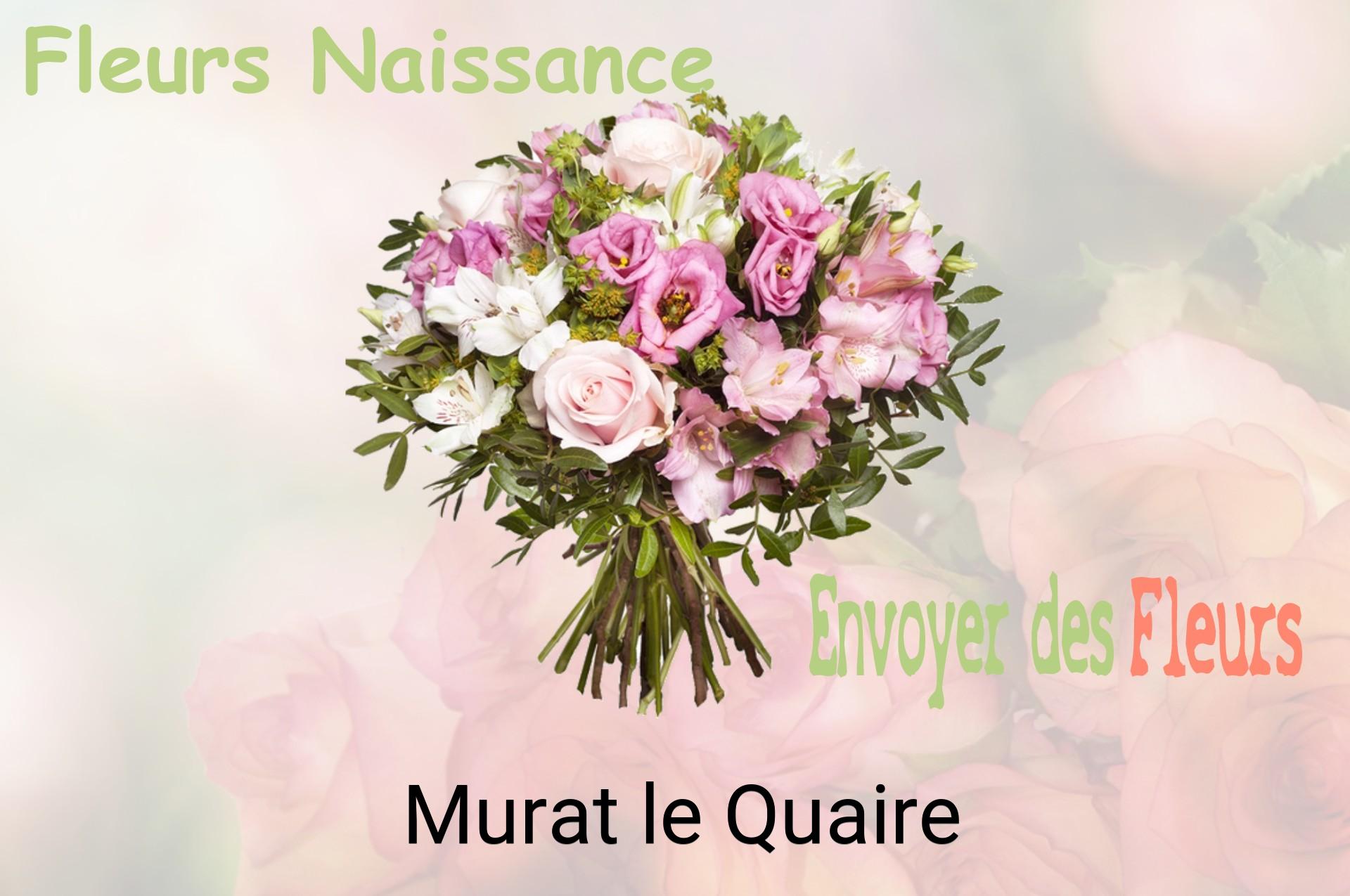 Bouquet de fleurs de naissance livré à Murat-le-Quaire